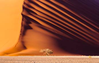 Cape Town to Victoria Falls – Hotel/Lodge