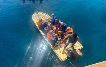 Primates & Dragons of Indonesia