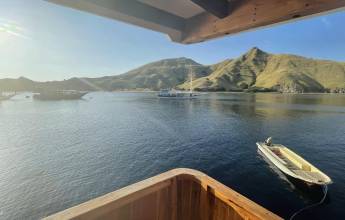 Primates & Dragons of Indonesia