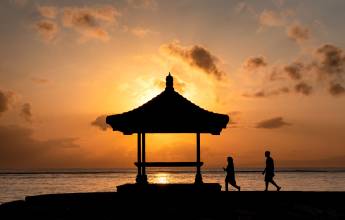 Primates & Dragons of Indonesia