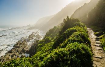 Cape Town and the Garden Route – Premium Adventure