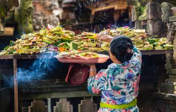 Primates & Dragons of Indonesia