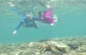 Primates & Dragons of Indonesia