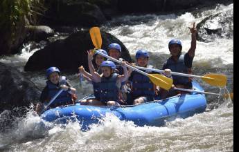 Primates & Dragons of Indonesia