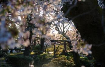 Ancient & Modern Japan