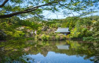 Cycling in Japan