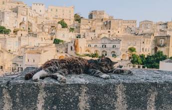 Walking in Puglia & Matera