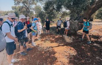 Walking in Puglia & Matera