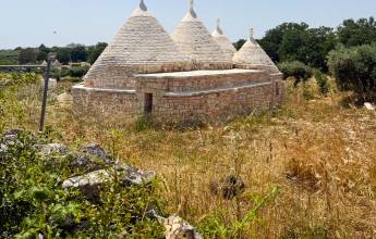 Walking in Puglia & Matera