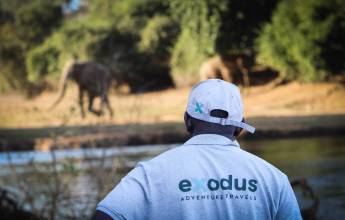 Zambezi Canoe Safari