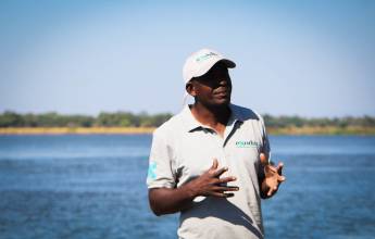 Zambezi Canoe Safari