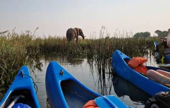 Zambezi Canoe Safari