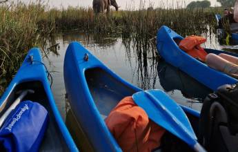 Zambezi Canoe Safari