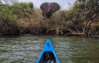 Zambezi Canoe Safari