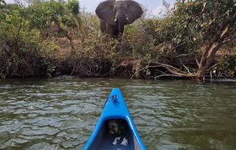 Zambezi Canoe Safari