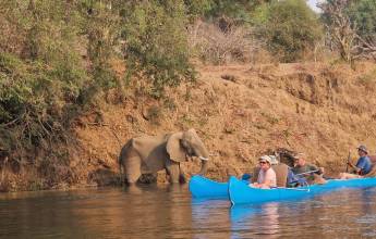 Zambezi Canoe Safari