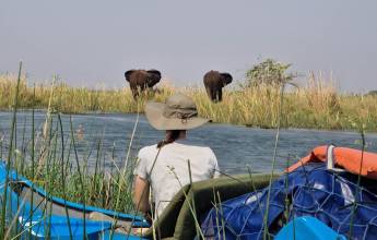 Zambezi Canoe Safari