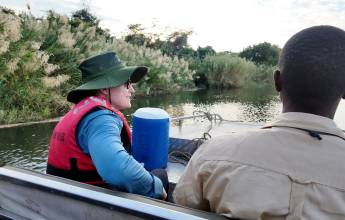 Zambezi Canoe Safari