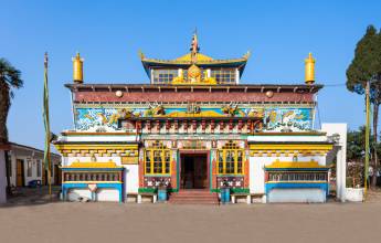 Trek Darjeeling, Sikkim & the Singalila Ridge