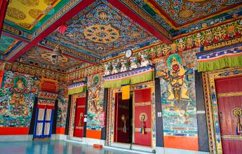 Trek Darjeeling, Sikkim & the Singalila Ridge