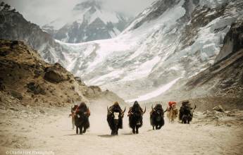 Everest & Gokyo Lakes Circuit