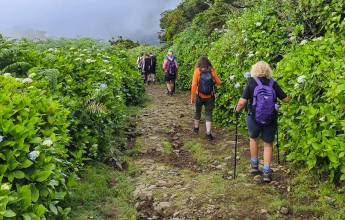 Walking in the Azores