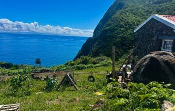 Walking in the Azores