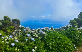Walking in the Azores