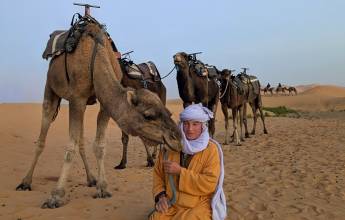 Highlights of Morocco