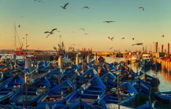 Highlights of Morocco – In Comfort