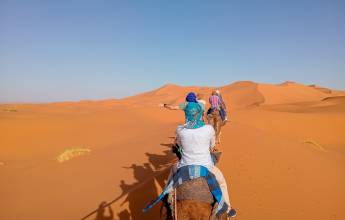 Highlights of Morocco – In Comfort