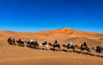 Highlights of Morocco – In Comfort