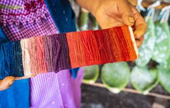 Discover Mexico – Day of the Dead (Oaxaca)