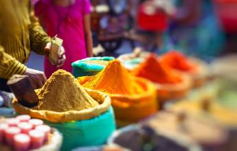 Highlights of Northern India