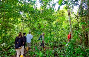 Borneo Wildlife Discoverer