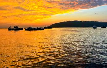 Borneo Wildlife Discoverer