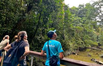 Borneo Wildlife Discoverer