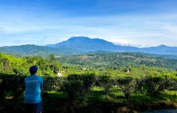 Borneo Wildlife Discoverer