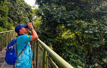 Borneo Wildlife Discoverer