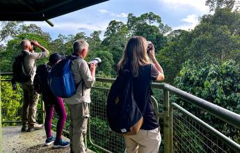 Borneo Wildlife Discoverer