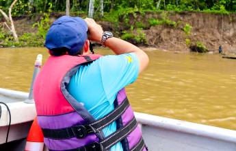 Borneo Wildlife Discoverer