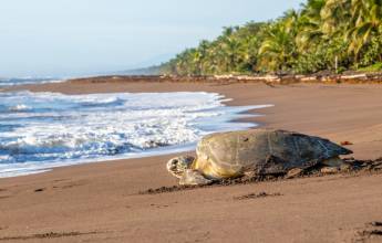 Costa Rica’s Coastal Secrets