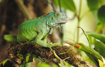 Costa Rica’s Coastal Secrets