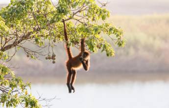 Costa Rica’s Coastal Secrets