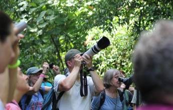 Costa Rica’s Coastal Secrets