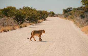 Cycle Namibia