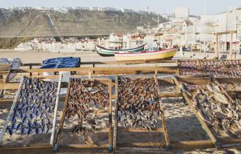 Porto to Lisbon Atlantic Ride