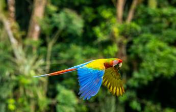 Costa Rica’s Coastal Secrets