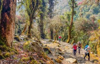 Annapurna Sanctuary Trek