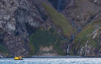 South Georgia and Antarctic Peninsula: Penguin Safari